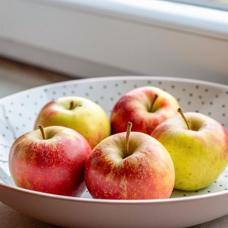 פרייבורג Appartement Lehen מראה חיצוני תמונה
