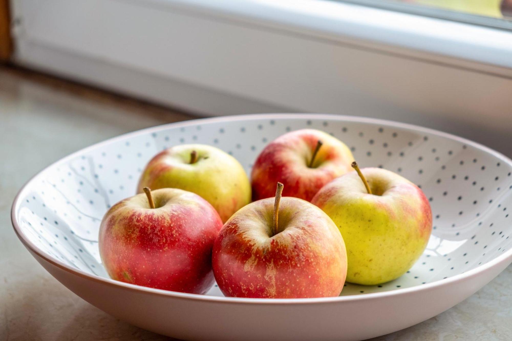 פרייבורג Appartement Lehen מראה חיצוני תמונה